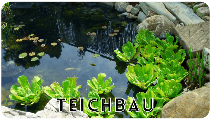 Teichbau in Dortmund