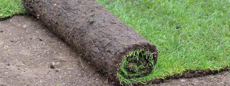 rollrasen verlegen dortmund